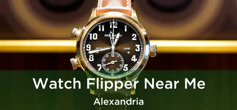 Watch Flipper Near Me Alexandria